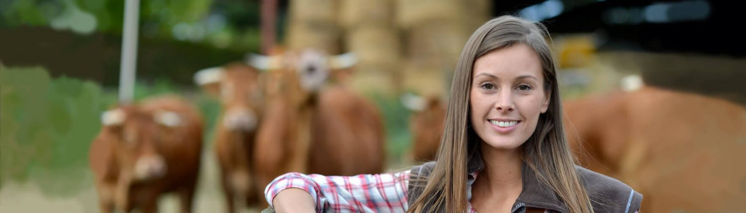 Rancher with Cattle